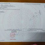 BÁN ĐẤT ẤP 3, XÃ MỸ YÊN, BẾN LỨC, LONG AN